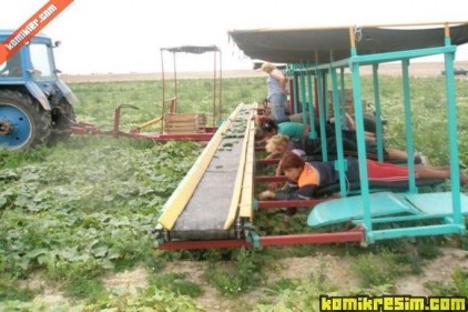 Tarımda fazla ihracat olanağı her zaman var