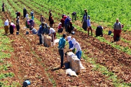 'Tarımda harekete geçilmezse açlık salgını başlayacak'