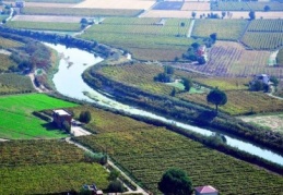 Tarımda istihdam Kasım ayında 5,18 milyona indi