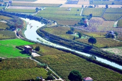 Tarımda istihdam Kasım ayında 5,18 milyona indi