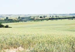 Tarımda ithalata ödenen bedel, tarıma verilen desteklerin iki katına çıktı