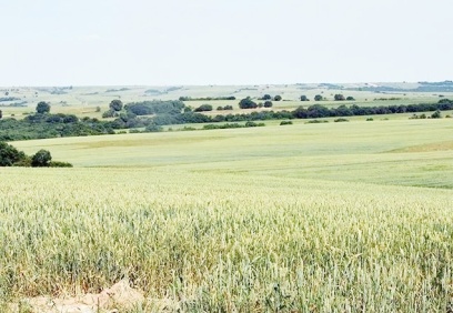 Tarımda ithalata ödenen bedel, tarıma verilen desteklerin iki katına çıktı