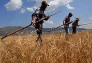 Tarımda şampiyonluk Batı Akdeniz’e geçti
