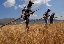 Tarımda şampiyonluk Batı Akdeniz’e geçti