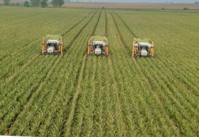 Tarımda ÜFE 2.78 arttı