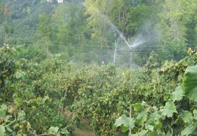 Tarımda ÜFE 2.48 arttı