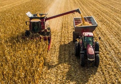 Tarımda ÜFE bir ayda yüzde 3,79 arttı