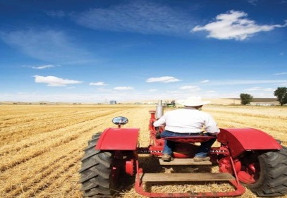 Tarımda ÜFE geçen yıla göre yüzde 6.32 oranında arttı