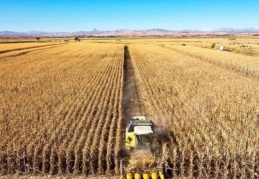 Tarımda üretici enflasyonu martta yükselişini sürdürdü