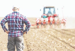 Tarımda üretici enflasyonu yıllık yüzde 24 arttı