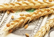 Tarımda üretici fiyatları aralık ayında yüzde 2,58, yıllık yüzde 21,24 arttı