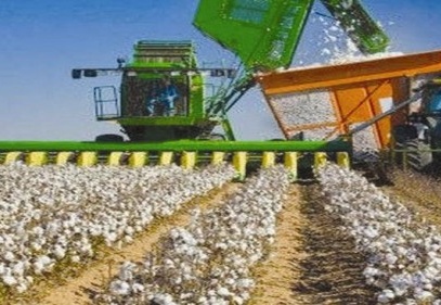 Tarımda yıllık üretici enflasyonu 2.56 arttı