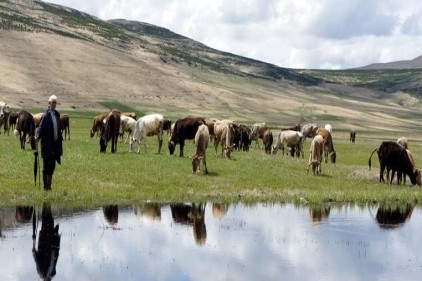 Tarımda yüzde 2,7 büyüme ekonomiye önemli bir katkıdır