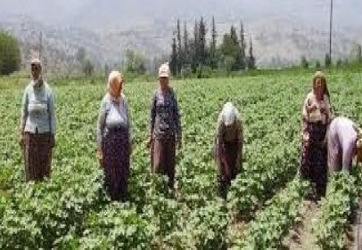 Tarımdaki büyüme işsizliği geriletti