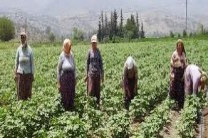 Tarımdaki büyüme işsizliği geriletti