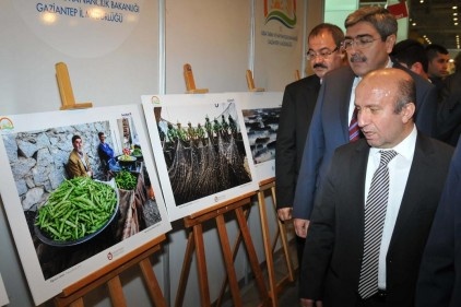 Tarımı daha verimli hale getirmek için çaba gösterilmeli