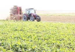 Tarımı dışa bağımlı hale getiren iktidar gıda fiyatlarından yakınıyor