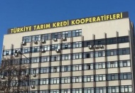 Tarımsal destek ödemeleri bugün başlıyor