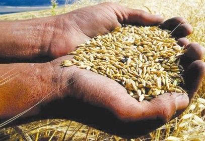 Tarımsal destekte süre 31 Mayıs’a kadar uzadı