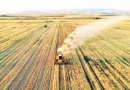 Tarımsal girdi fiyatları yıllık yüzde 127 arttı