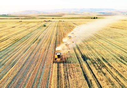 Tarımsal girdi fiyatları yıllık yüzde 127 arttı