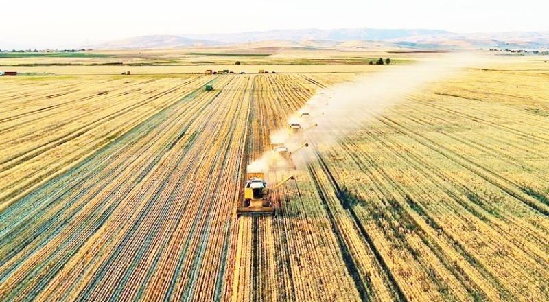 Tarımsal girdi fiyatları yıllık yüzde 127 arttı