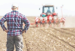 Tarımsal girdi fiyatları yıllık yüzde 29.38 arttı