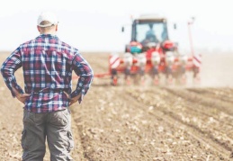 Tarımsal girdi fiyatları yıllık yüzde 29.38 arttı