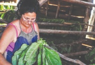 Tarımsal girdilerdeki artış, bir önceki yıla göre yüzde 60 arttı