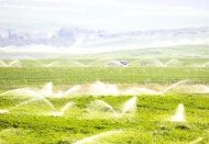 Tarımsal sulamada ‘su tasarrufu’ teşvik edilecek