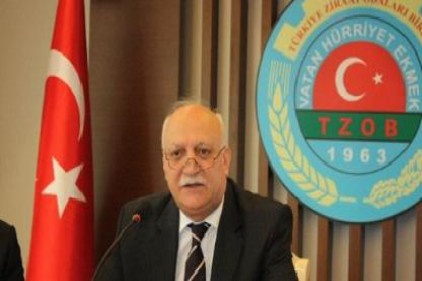 Tarımsal üretimimiz hızla seraya kayıyor
