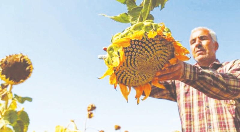 Tarımsal ürünlerde dışa bağımlılık artıyor