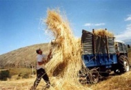Tarımsal yayın ve danışmanlık desteği için başvurular başladı