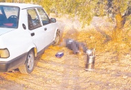 Tarlada kalp krizi geçirerek hayatını kaybetti