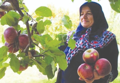 Tarladan 1.75 liraya çıkıyor, markette 8 liraya satılıyor