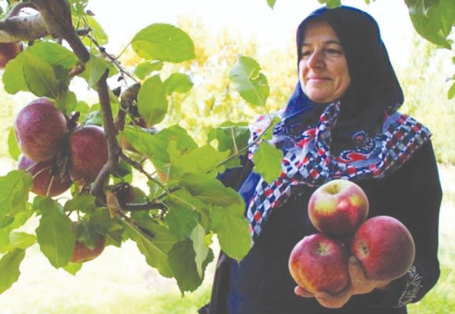 Tarladan 1.75 liraya çıkıyor, markette 8 liraya satılıyor