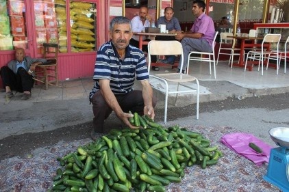 Tarladan toplayıp, tüketiciye sunuyorlar 