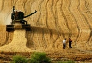 Tarlaları ranttan koruyun!