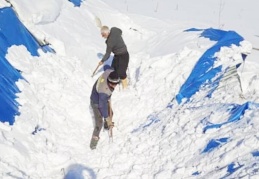 TARSİM, üreticilere 92 milyon hasar ödemesi yapacak