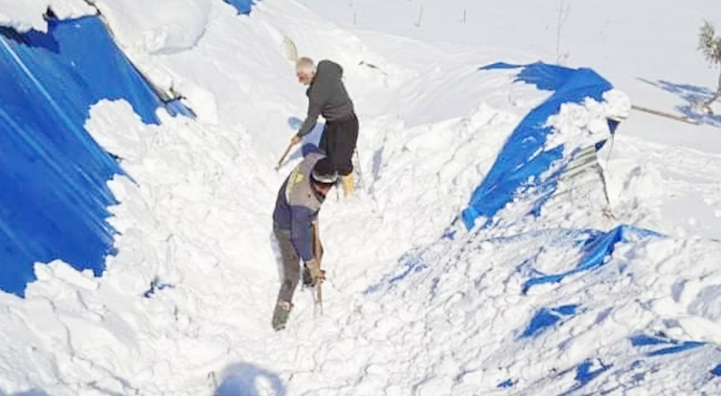 TARSİM, üreticilere 92 milyon hasar ödemesi yapacak