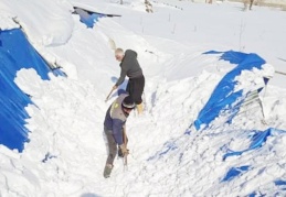 TARSİM, üreticilere 92 milyon hasar ödemesi yapacak