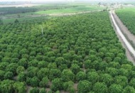 TARSİM’den çiftçiye 5,4 milyar ödeme yapıldı