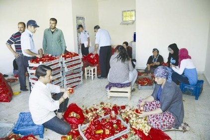 Tartı, kantar ve baskül kontrolleri yapıldı