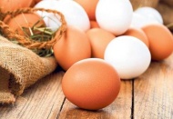 Tavuk yumurtası üretimi 2017 yılında 1,7 milyar adet olarak gerçekleşti