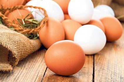 Tavuk yumurtası üretimi 2017 yılında 1,7 milyar adet olarak gerçekleşti
