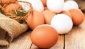 Tavuk yumurtası üretimi 2017 yılında 1,7 milyar adet olarak gerçekleşti