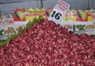 Taze ben fıstığın fiyatı 16 lirayı vurdu 