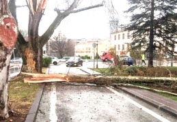 TBMM bahçesine yıldırım düştü
