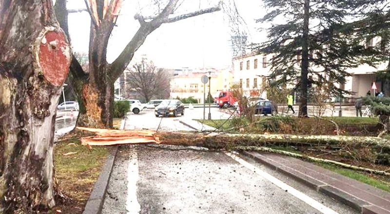 TBMM bahçesine yıldırım düştü