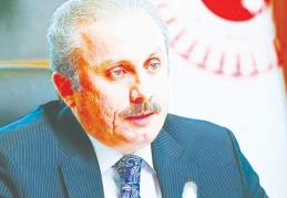 TBMM Başkanı Şentop: BM'nin iki devletli çözüm çağrısı yeterli değil